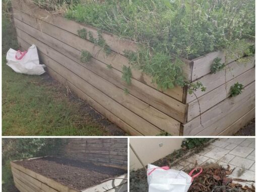 6442b3bc2d00000139ffe20b (1)